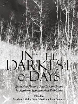 cover image of In the Darkest of Days